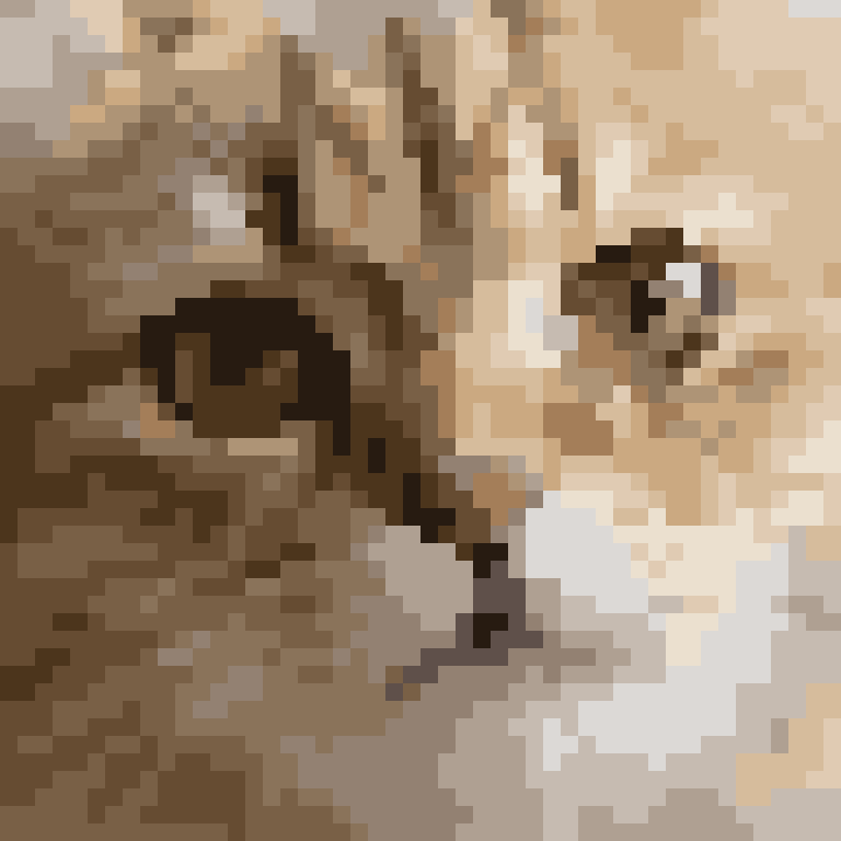 The cat example turned into 16-colour pixel art