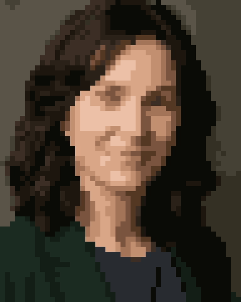 The portrait example turned into 16-colour pixel art